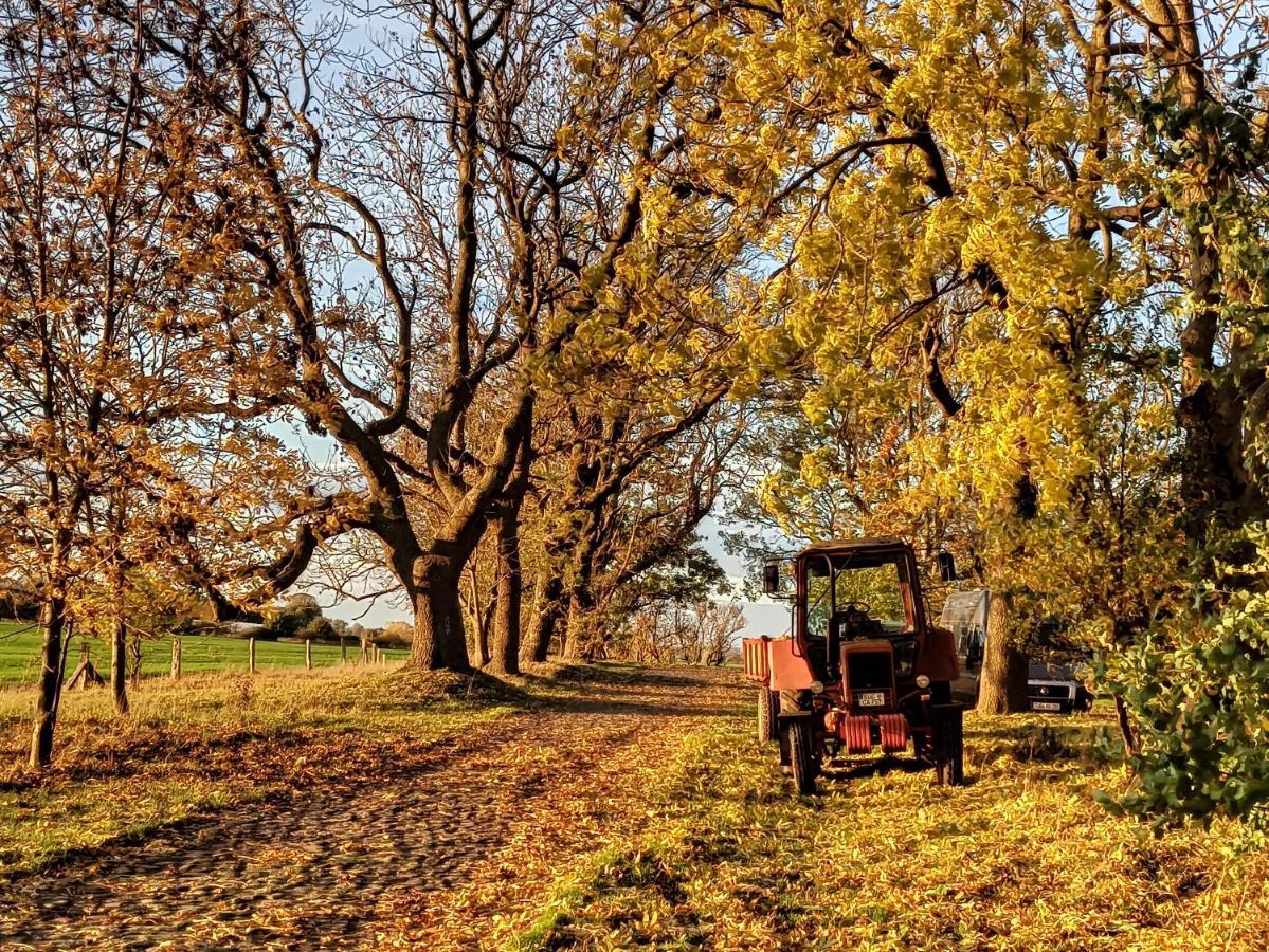Schaeferwagen Auf Dem Biogut-Saalkow 호텔 Gustow  외부 사진
